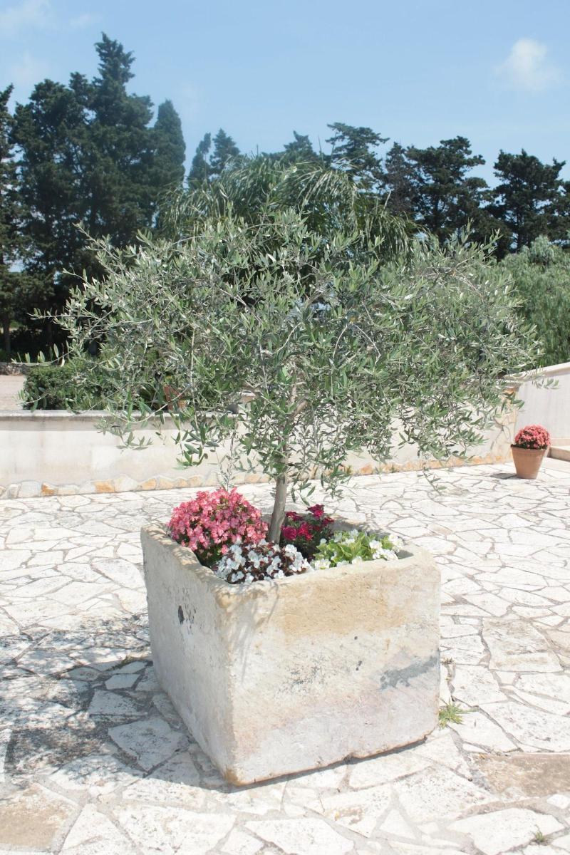 Tenuta Turchi Отранто Екстериор снимка